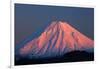 Alpenglow on Mt. Ngauruhoe at dawn, Tongariro NP, Central Plateau, N Island, New Zealand-David Wall-Framed Photographic Print