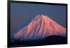 Alpenglow on Mt. Ngauruhoe at dawn, Tongariro NP, Central Plateau, N Island, New Zealand-David Wall-Framed Photographic Print