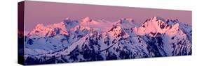 Alpenglow on Mt Olympus-Douglas Taylor-Stretched Canvas