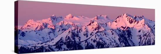 Alpenglow on Mt Olympus-Douglas Taylor-Stretched Canvas