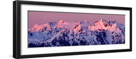 Alpenglow on Mt Olympus-Douglas Taylor-Framed Photo