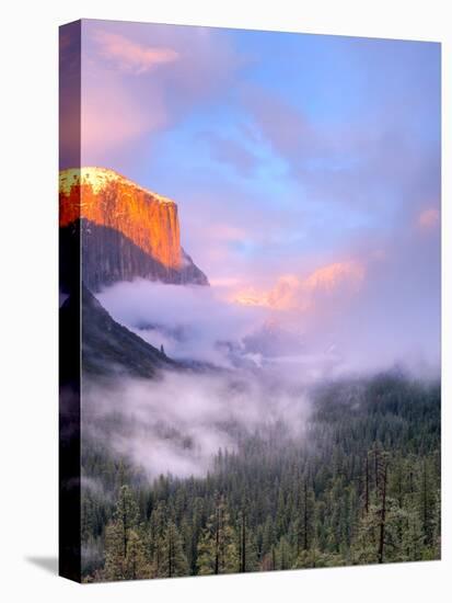 Alpenglow, Sunset Colors the Top of El Capitan, Yosemite, California, USA-Tom Norring-Stretched Canvas