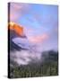 Alpenglow, Sunset Colors the Top of El Capitan, Yosemite, California, USA-Tom Norring-Stretched Canvas