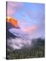 Alpenglow, Sunset Colors the Top of El Capitan, Yosemite, California, USA-Tom Norring-Stretched Canvas