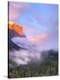 Alpenglow, Sunset Colors the Top of El Capitan, Yosemite, California, USA-Tom Norring-Stretched Canvas