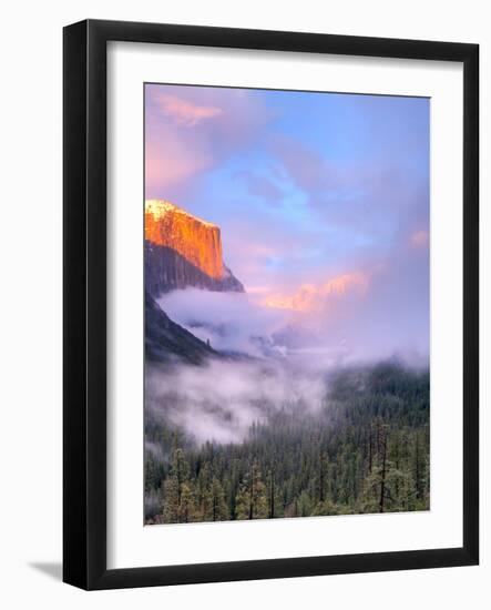 Alpenglow, Sunset Colors the Top of El Capitan, Yosemite, California, USA-Tom Norring-Framed Photographic Print