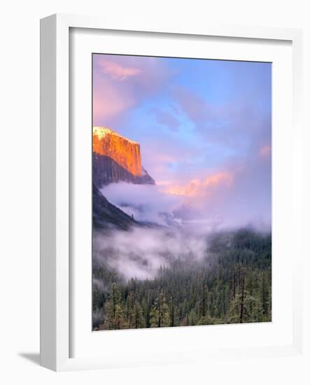 Alpenglow, Sunset Colors the Top of El Capitan, Yosemite, California, USA-Tom Norring-Framed Photographic Print