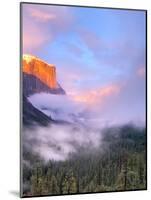 Alpenglow, Sunset Colors the Top of El Capitan, Yosemite, California, USA-Tom Norring-Mounted Photographic Print