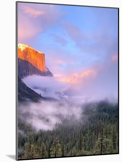 Alpenglow, Sunset Colors the Top of El Capitan, Yosemite, California, USA-Tom Norring-Mounted Photographic Print