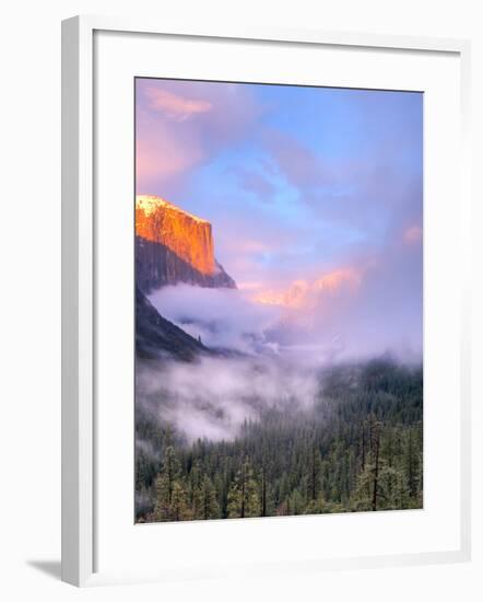 Alpenglow, Sunset Colors the Top of El Capitan, Yosemite, California, USA-Tom Norring-Framed Photographic Print