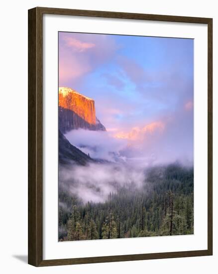 Alpenglow, Sunset Colors the Top of El Capitan, Yosemite, California, USA-Tom Norring-Framed Photographic Print