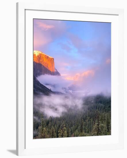 Alpenglow, Sunset Colors the Top of El Capitan, Yosemite, California, USA-Tom Norring-Framed Photographic Print