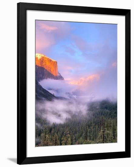 Alpenglow, Sunset Colors the Top of El Capitan, Yosemite, California, USA-Tom Norring-Framed Photographic Print