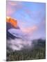 Alpenglow, Sunset Colors the Top of El Capitan, Yosemite, California, USA-Tom Norring-Mounted Photographic Print