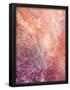 Essential Black