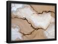 Essential Black