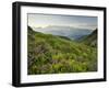 Alpenrose, Reiteralm, Dachstein, Ennstal, Styria, Austria-Rainer Mirau-Framed Photographic Print