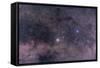 Alpha and Beta Centauri in the Southern Constellation of Centaurus-null-Framed Stretched Canvas