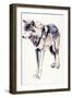 Alpha-Mark Adlington-Framed Premium Giclee Print