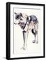 Alpha-Mark Adlington-Framed Premium Giclee Print