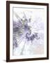 Alpha-Fractalicious-Framed Giclee Print