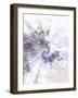 Alpha-Fractalicious-Framed Premium Giclee Print