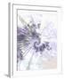 Alpha-Fractalicious-Framed Giclee Print