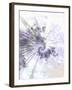 Alpha-Fractalicious-Framed Giclee Print