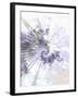 Alpha-Fractalicious-Framed Giclee Print