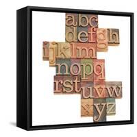Alphabet - Abstract of Vintage Wooden Letterpress Printing Blocks Stained by Color Inks, Isolated O-PixelsAway-Framed Stretched Canvas