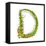 Alphabet Decorative Floral Letter D.-Popmarleo-Framed Stretched Canvas