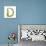 Alphabet Decorative Floral Letter D.-Popmarleo-Stretched Canvas displayed on a wall