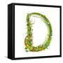 Alphabet Decorative Floral Letter D.-Popmarleo-Framed Stretched Canvas