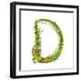 Alphabet Decorative Floral Letter D.-Popmarleo-Framed Art Print