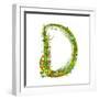 Alphabet Decorative Floral Letter D.-Popmarleo-Framed Art Print