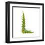 Alphabet Decorative Floral Letter L.-Popmarleo-Framed Art Print