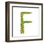 Alphabet Letter F Elegant Flower Blooming Botanical Sign. Flower ABC Sign F. Floral Summer Colorful-Popmarleo-Framed Art Print