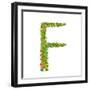 Alphabet Letter F Elegant Flower Blooming Botanical Sign. Flower ABC Sign F. Floral Summer Colorful-Popmarleo-Framed Art Print