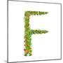 Alphabet Letter F Elegant Flower Blooming Botanical Sign. Flower ABC Sign F. Floral Summer Colorful-Popmarleo-Mounted Art Print