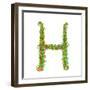 Alphabet Letter H Elegant Flower Blooming Botanical Sign. Flower ABC Sign H. Floral Summer Colorful-Popmarleo-Framed Art Print