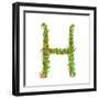 Alphabet Letter H Elegant Flower Blooming Botanical Sign. Flower ABC Sign H. Floral Summer Colorful-Popmarleo-Framed Art Print