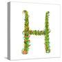 Alphabet Letter H Elegant Flower Blooming Botanical Sign. Flower ABC Sign H. Floral Summer Colorful-Popmarleo-Stretched Canvas