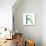 Alphabet Letter R Cartoon Flat Style for Children. Fun Alphabet Letter for Kids Boys and Girls With-Popmarleo-Stretched Canvas displayed on a wall