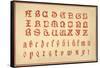 Alphabet, letters A-Z, upper and lower case-Unknown-Framed Stretched Canvas