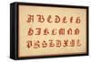 Alphabet, letters A-Z, upper case-Unknown-Framed Stretched Canvas