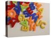 Alphabet Magnets-null-Stretched Canvas