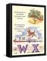 Alphabet, W and X-null-Framed Stretched Canvas