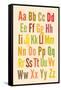 Alphabet-null-Framed Stretched Canvas