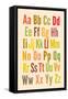 Alphabet-null-Framed Stretched Canvas