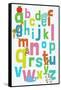 Alphabet-null-Framed Stretched Canvas